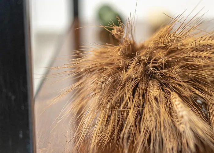 Bed & Breakfast Al Vecchio Mulino